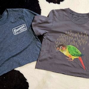 Set Of 2 - Gray Crop Tee Parrot Graphic and Beaman Toyota Nashville -SMALL-